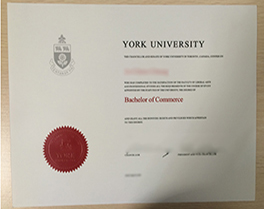 buy York University fake  diploma from Toronto, York University degree order