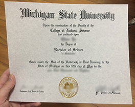 Michigan State University diploma sample, purchase fake degree in Dubai