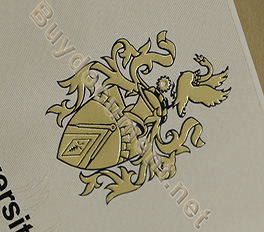 Brunel University London certificate Hot stamping LOGO