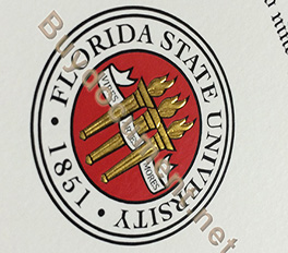 Florida State University gold blocking logo