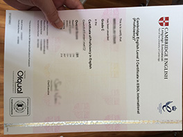 where to make ESOL fake certificate