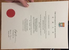 University of Hong Kong (HKU) fake diploma