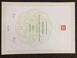 How Safety to Buy Temasek Poly Fake Diploma