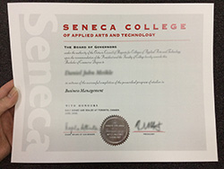 Seneca College Diploma Sample