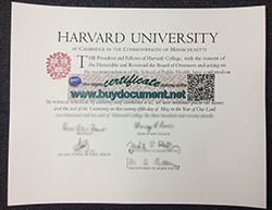 How to Get a Harvard University Diploma?