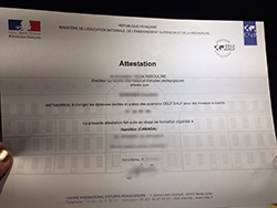Achat du certificat du Centre international d’études pédagogiques