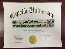 Want More Money? Get Fake Capella University Degree