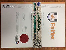 Fake Raffles College of Design and Commerce Diploma Sample