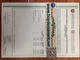 How to buy fake Singapore GCE O Level certificate
