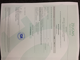 Fake FOM Hochschule Diploma Zeugnis, FOM Degree Certificate