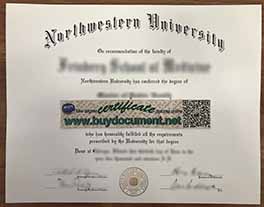 What Does AN Northwestern University Diploma Look Like
