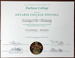 Where Can I Buy A Fake Diploma From Durham College?