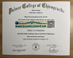 Where Can I Earn My Palmer College of Chiropractic Diploma?