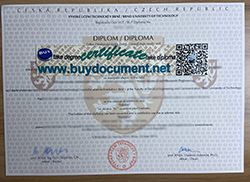 Where Can I Buy A Fake Diploma From The Brno University of Technology? The BUT De