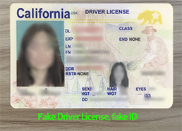 How to Apply for a Fake Driver's License in California?