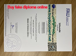 Order FAU Erlangen-Nürnberg Diploma.