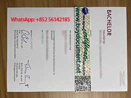 Need A Fake Helmut Schmidt University Diploma