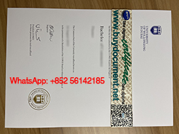 Where Can I Buy A Griffith University Diploma?