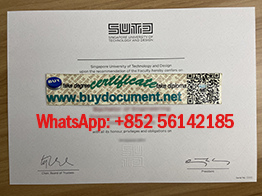 Need a diploma from The Singapore University of Technology and Design.