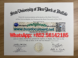 Fake SUNY Buffalo for sale. Buy University at Buffalo diploma.