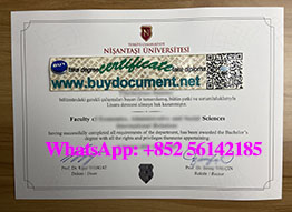 Buy a fake Istanbul Nişantaşı University diploma.