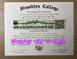 Would you be willing to purchase a Brooklyn College diploma?