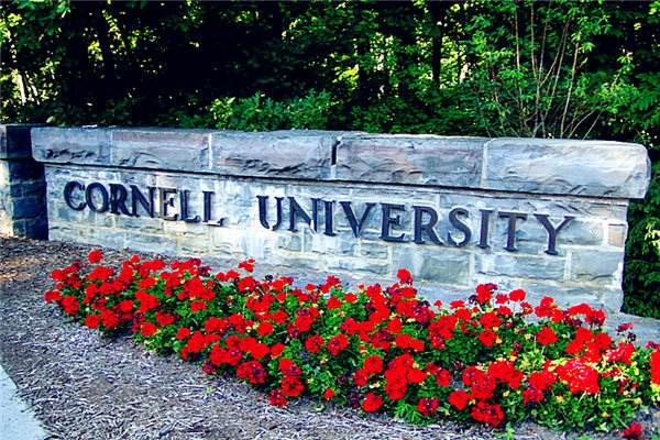 fake Cornell University degree, fake Cornell University diploma