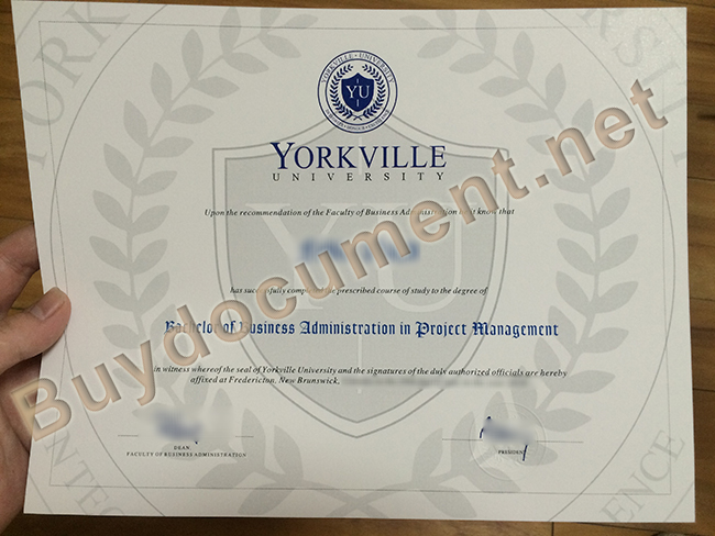 fake Yorkville University degree, Yorkville University diploma order