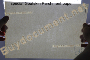 buy fake degree, buy a fake diploma online