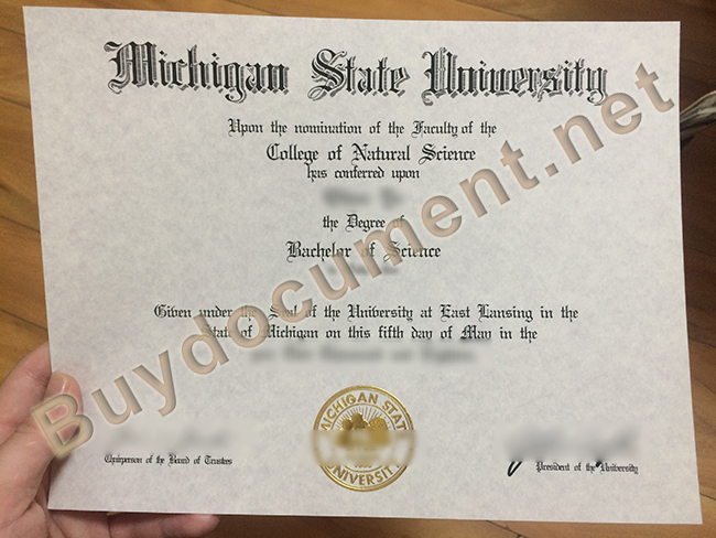 fake Michigan State University diploma, Michigan State University degree order
