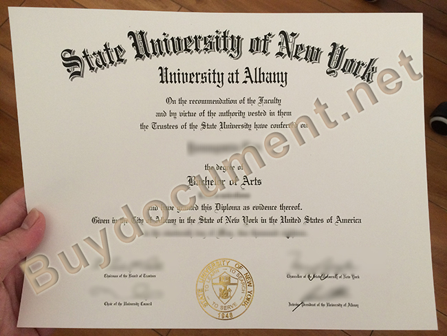State University of New York at Albany fake diploma
