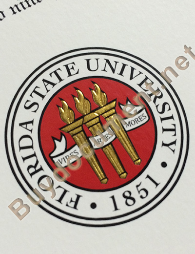 Florida State University diploma, Florida State University degree