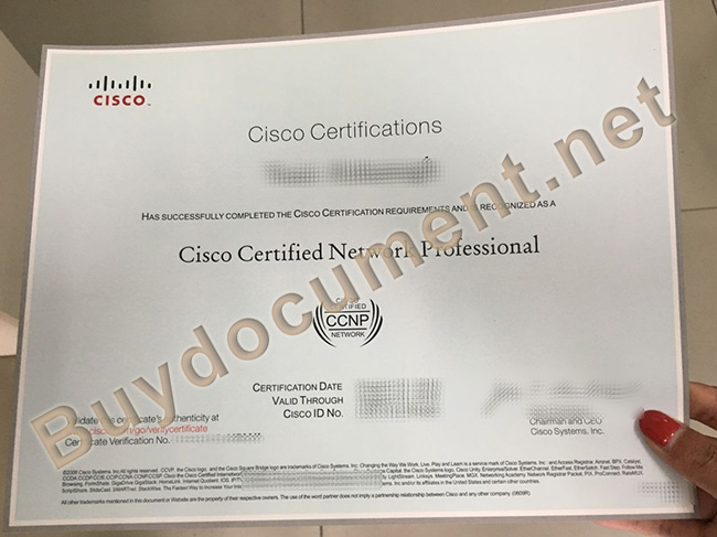 CCNP certificate, buy CCNP fake certificate