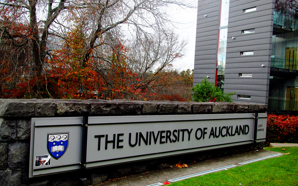 University of Auckland fake diploma, buy fake degree