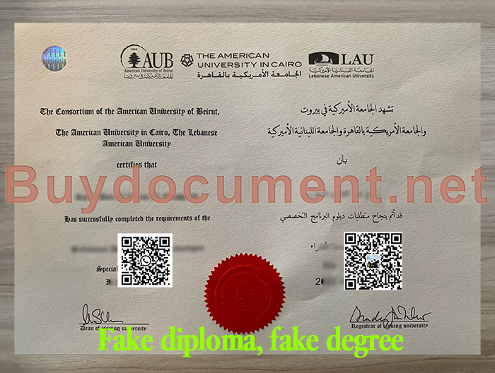 Fake American University in Cairo diploma