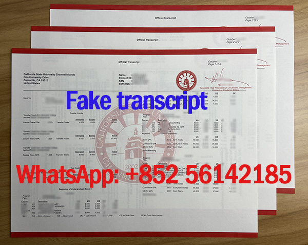 get a fake CSUCI transcript