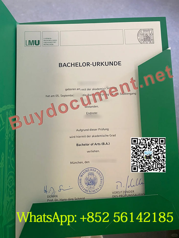 LMU Munich diploma. University of Munich diploma. 