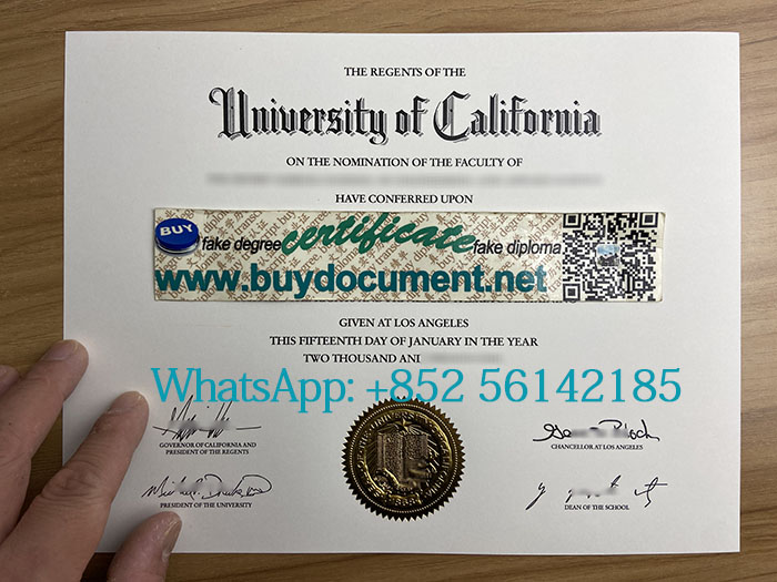 University of California, Los Angeles diploma. 