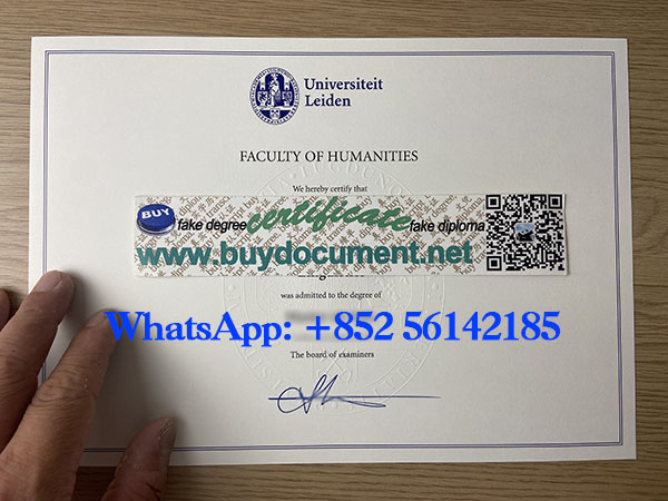 Leiden University diploma
